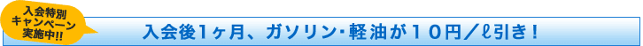 �����1�����A�K�\�����オ�P�O�~�^���b�g�������I