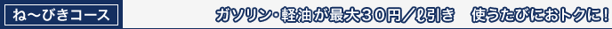 �ˁ`�т��R�[�X�@�K�\�������ő�30�~�E���b�g������