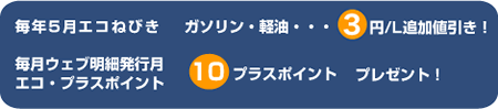 ���N5���G�R�˂т��@�K�\�����E�y���c3�~/L�ǉ��l�����I�@�����E�F�u���ה��s���G�R�E�v���X�|�C���g�@10�v���X�|�C���g�@�v���[���g�I