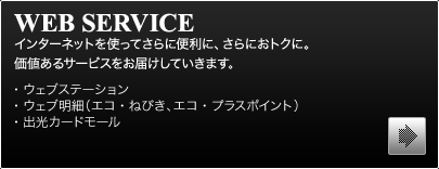 WEB SERVICE