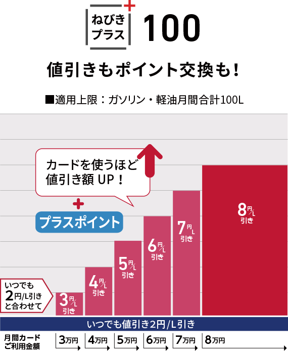 ねびきプラスサービス100
