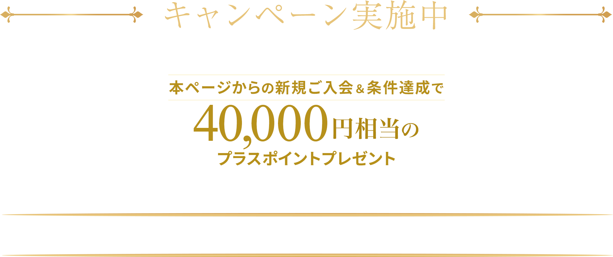 キャンペーン実施中