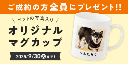 ペット保険キャンペーン