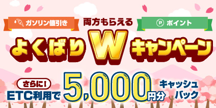 両方もらえる！よくばりWキャンペーン