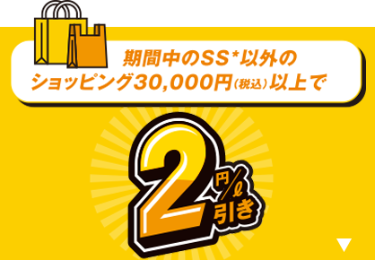 SS以外のショッピング30,000円以上で