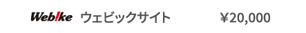 ウェビックサイト	￥20,000