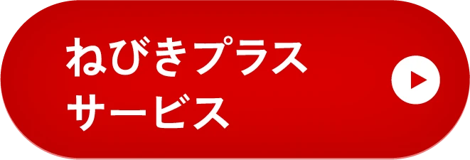 ねびきプラスサービス