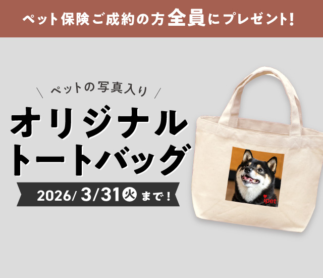 【ペット保険】ペットの写真入りトートバッグプレゼントキャンペーン