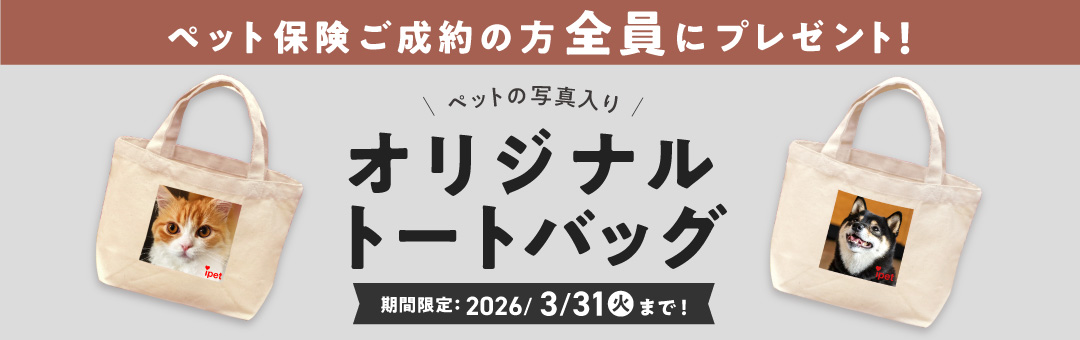 【ペット保険】ペットの写真入りトートバッグプレゼントキャンペーン