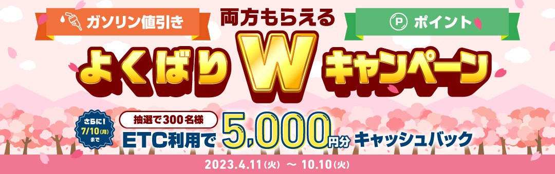 両方もらえる！よくばりWキャンペーン