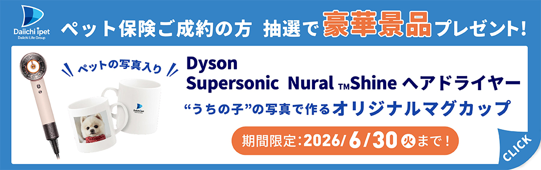 【ペット保険】ヘアドライヤー/オリジナルマグカッププレゼントキャンペーン