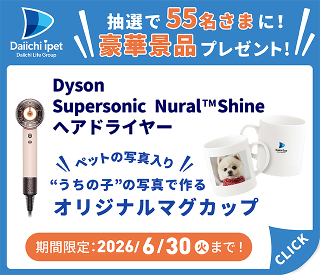 【ペット保険】ヘアドライヤー/オリジナルマグカッププレゼントキャンペーン