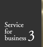 Service for business 3