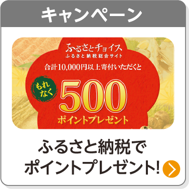 キャンペーン／ふるさと納税でポイントプレゼント！