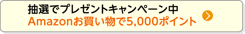抽選でプレゼントキャンペーン中Amazonお買い物で5,000ポイント