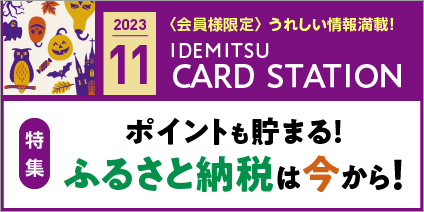 11月一般