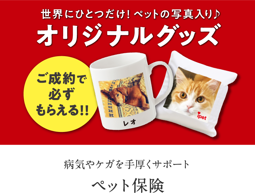 病気やケガを手厚くサポート ペット保険