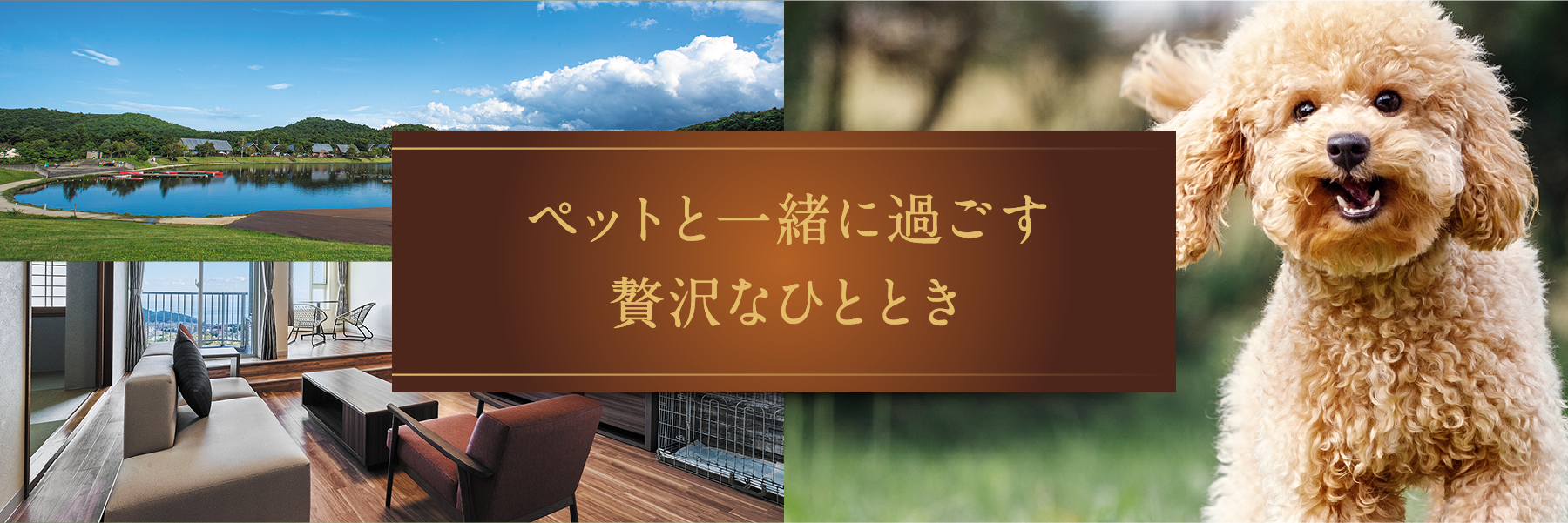 ペットと一緒に過ごす贅沢なひととき
