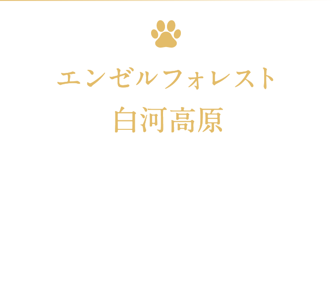 ペットと大切な休日を満喫 詳しくはこちら
