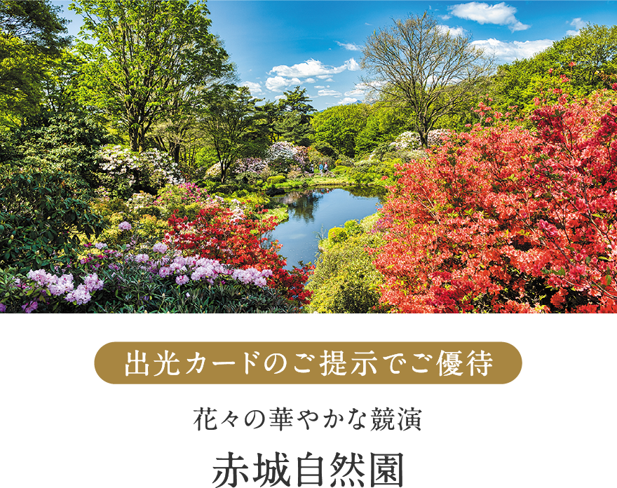 出光カードのご提示でご優待 花々の華やかな競演 赤城自然園