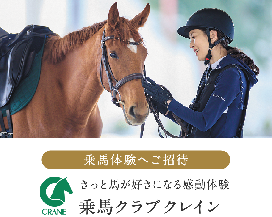 きっと馬が好きになる感動体験 乗馬クラブクレイン
