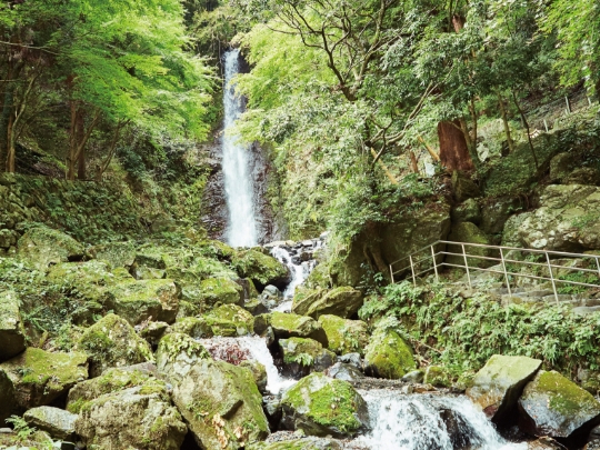 養老公園を散策した先にある「養老の滝」