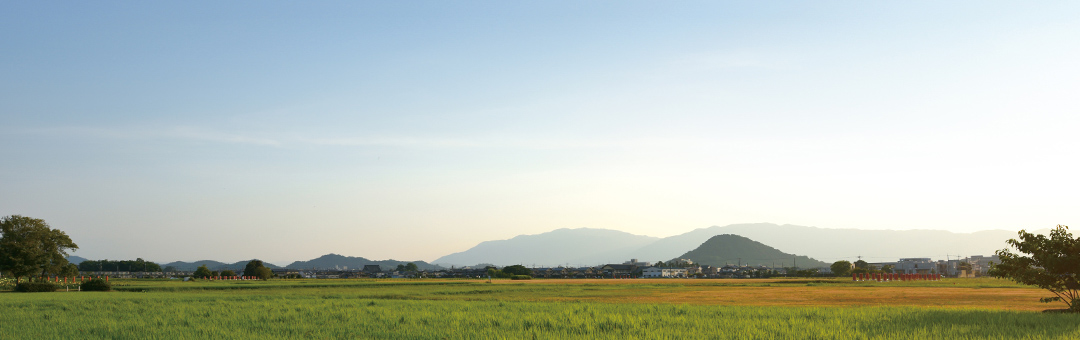 藤原宮の跡地（橿原）