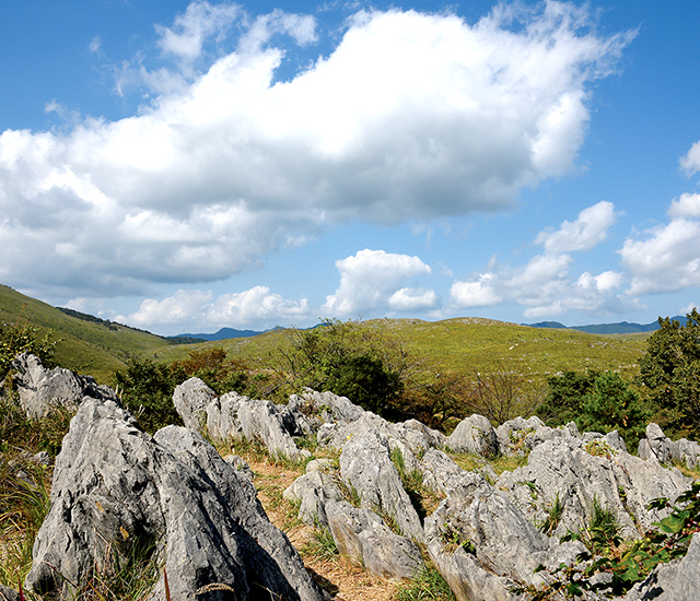 秋吉台