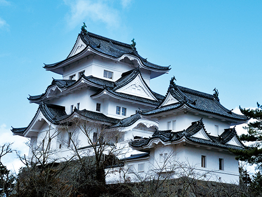伊賀上野城（伊賀）