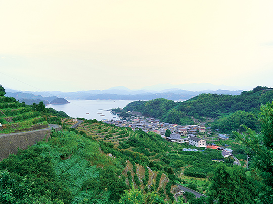 狩浜の段々畑