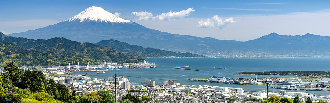 日本平の茶畑と富士山