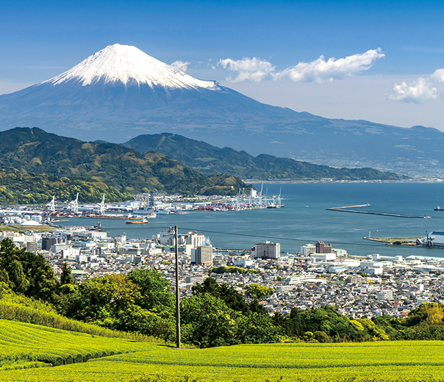 日本平の茶畑と富士山