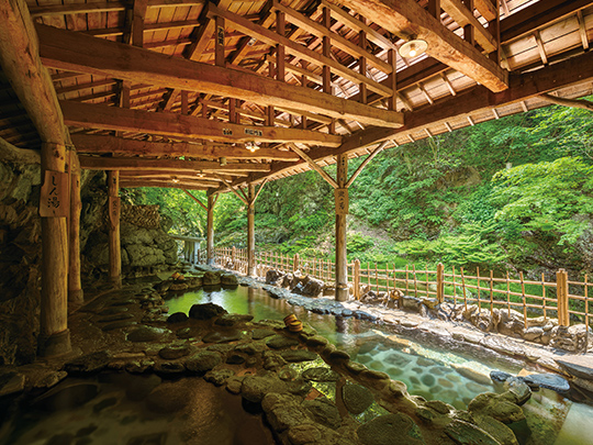 元湯 鷹泉閣 岩松旅館（作並温泉）