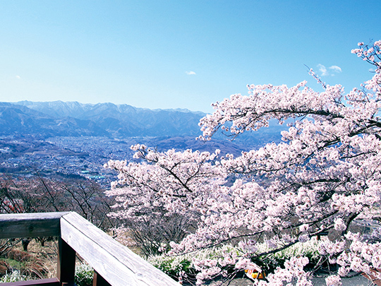 美の山公園