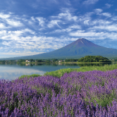 おでかけドライブ情報5月号