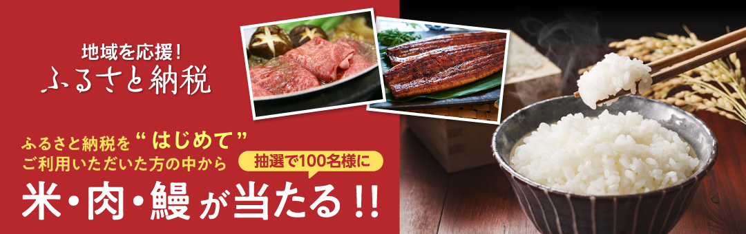 【誰でも簡単！初めてのふるさと納税】GOGOふるさと応援キャンペーン！！