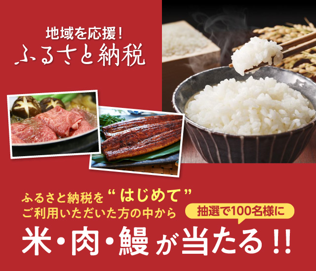 【誰でも簡単！初めてのふるさと納税】GOGOふるさと応援キャンペーン！！