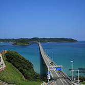 おでかけドライブ情報