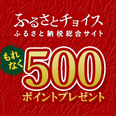 ふるさとチョイスふるさと納税総合サイトもれなく500 ポイントプレゼント