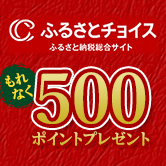 合計1万円以上寄付でもれなく500ポイントプレゼント！